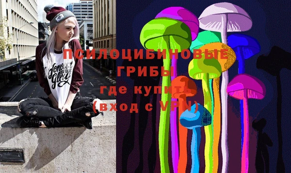 дурь Корсаков