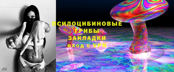 дурь Корсаков