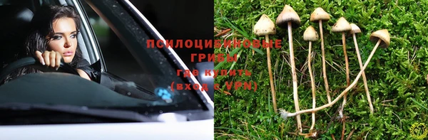 дурь Корсаков