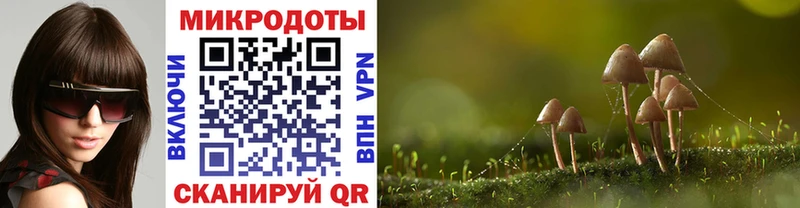 Купить закладки  Микунь  Псилоцибиновые грибы Psilocybine cubensis 